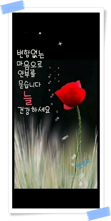 약속 식품 이미지