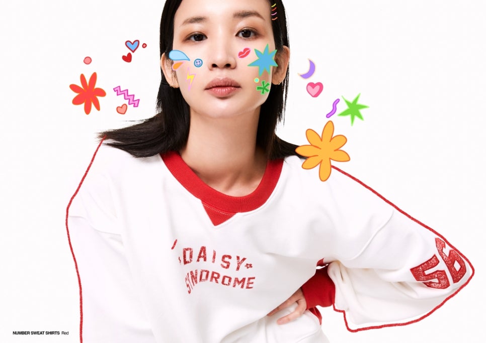 코튼데이지 이미지