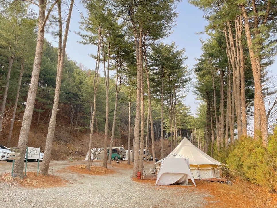 리틀 포레스트 캠핑 이미지