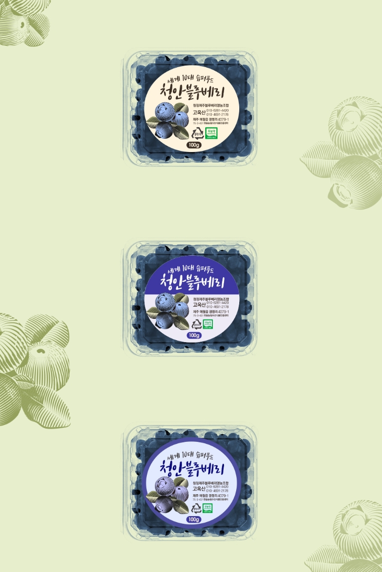 블루베리디자인 이미지