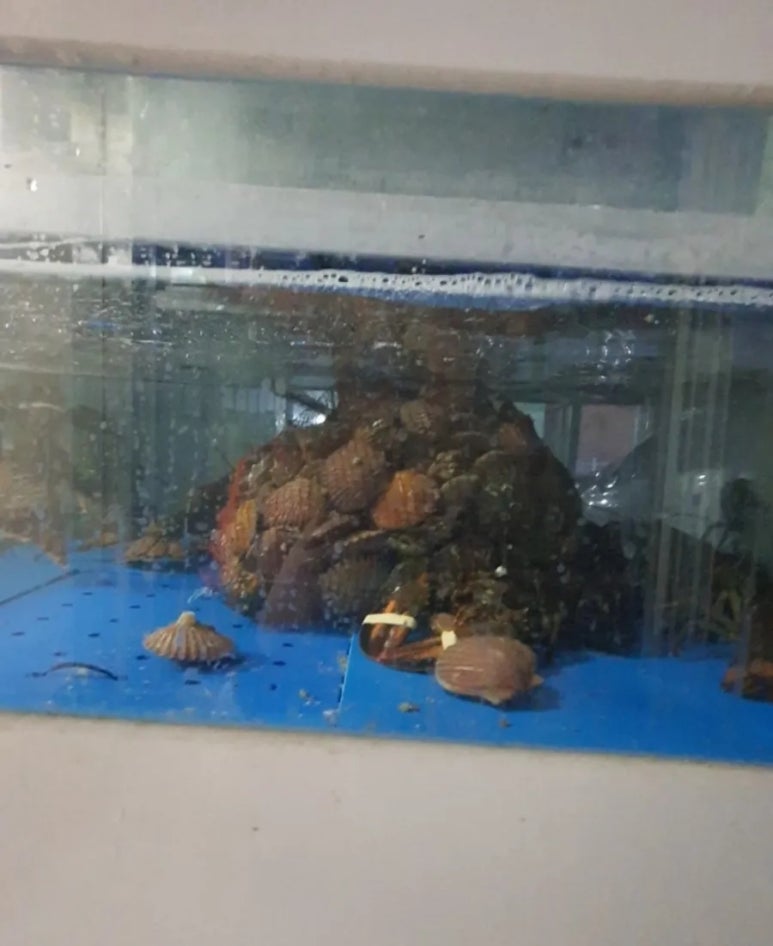샵울산바다낚시 이미지