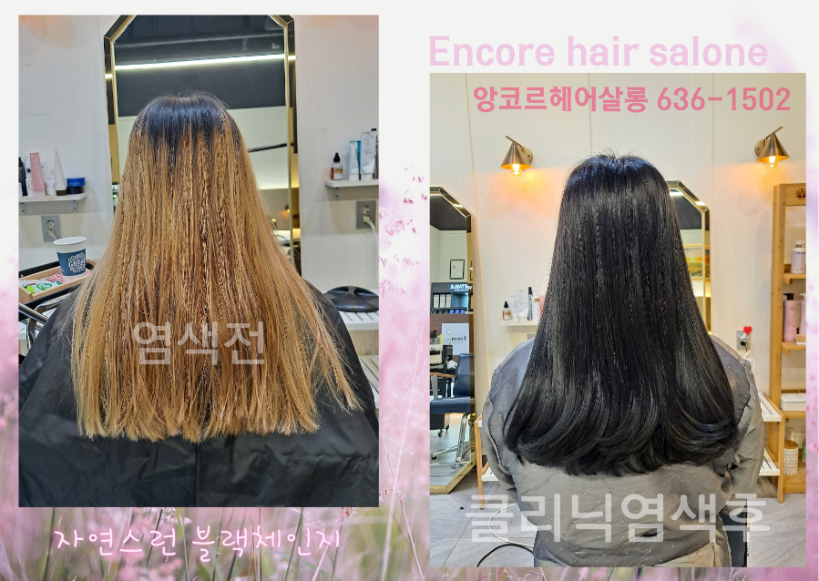 곽살롱 이미지