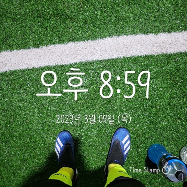 킥캣 이미지