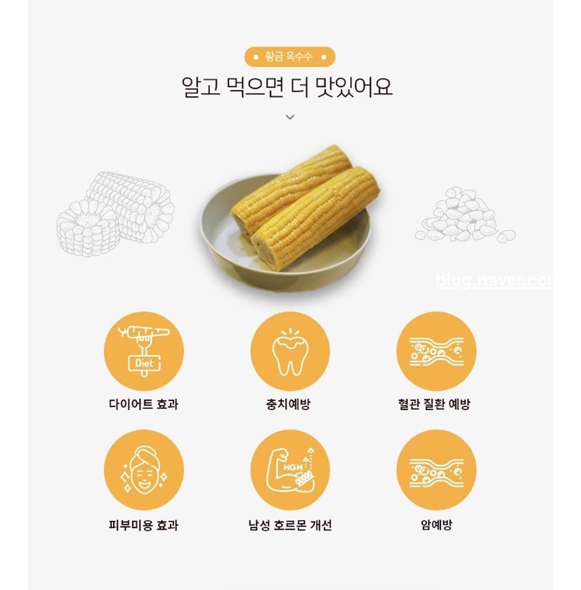 썬플라토 이미지