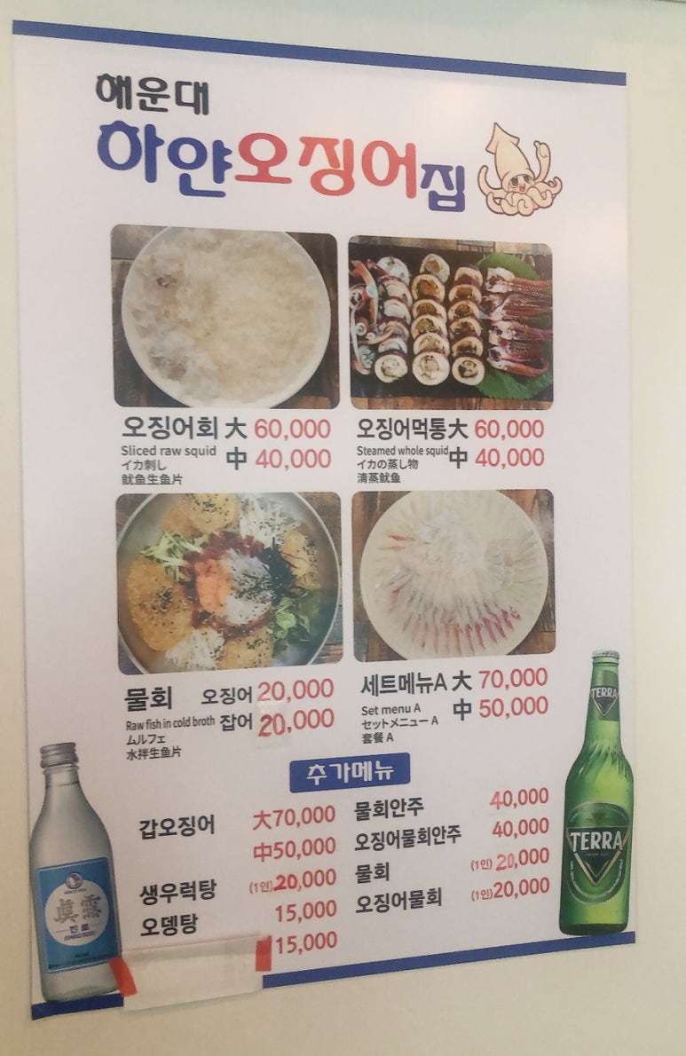 하얀오징어 이미지