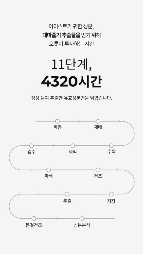 아이스트 이미지