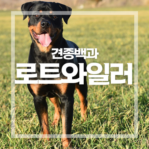 스탠포드 어린이집 이미지