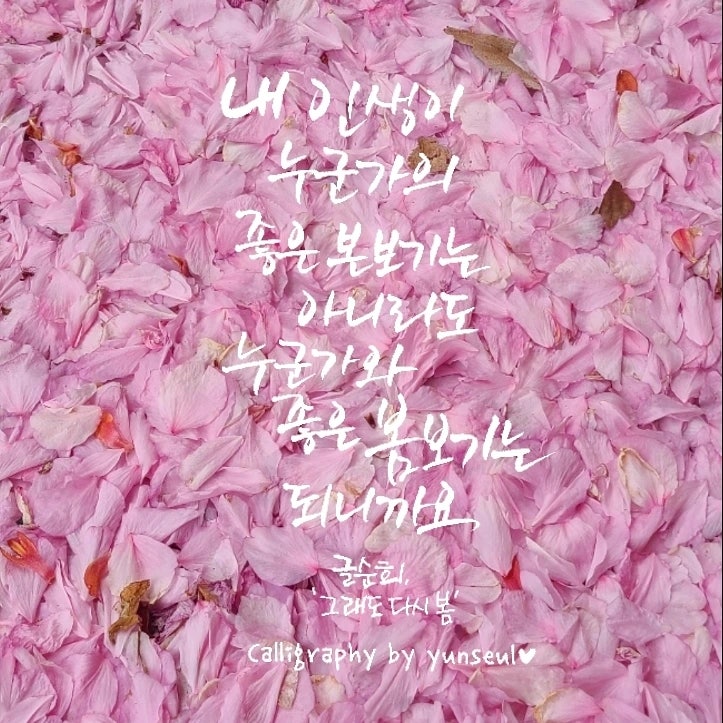 다시봄캘리 이미지