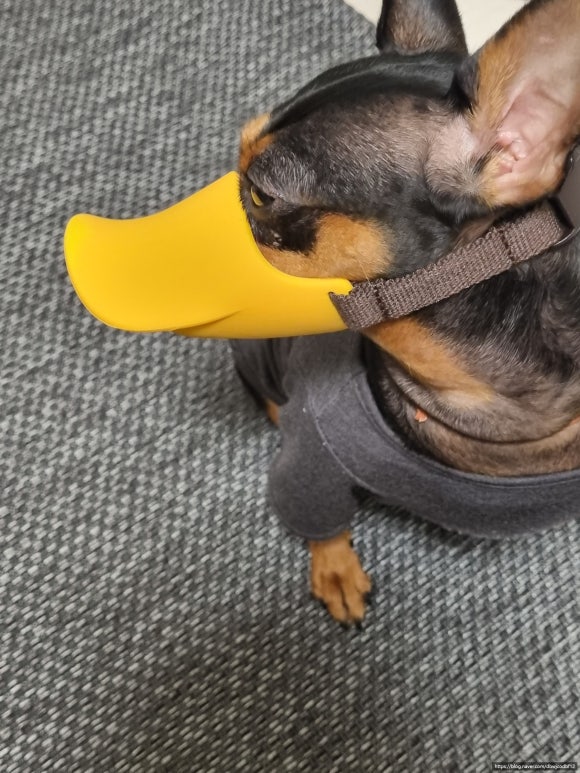 에이치텍 이미지