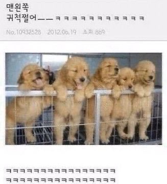 대구형제막창 이미지