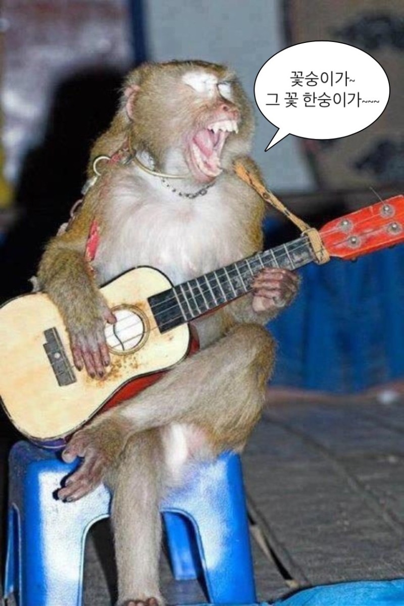 카페무르 이미지