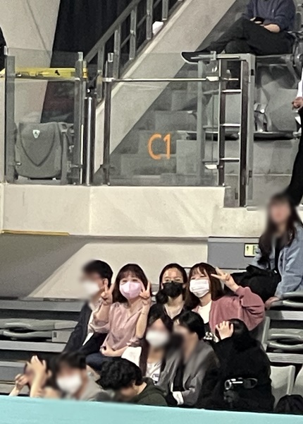 볼사이팅 이미지