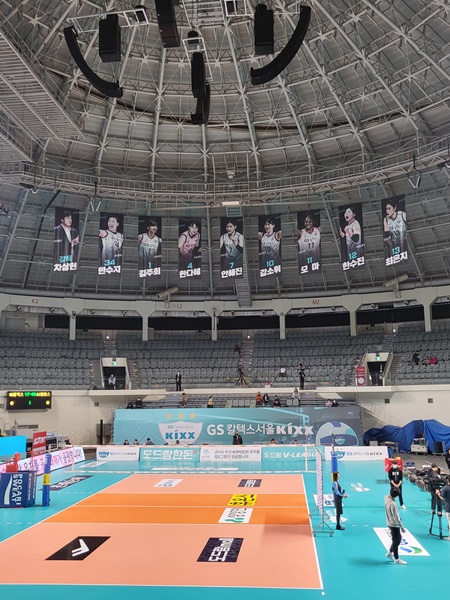볼사이팅 이미지