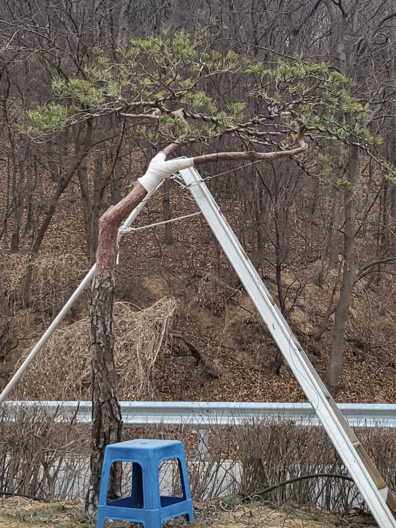 송*하 이미지