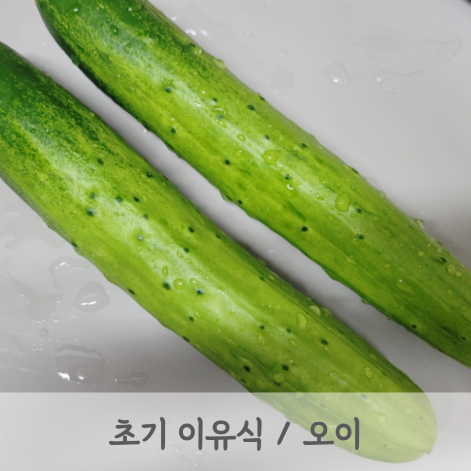 모도리베이비 이미지