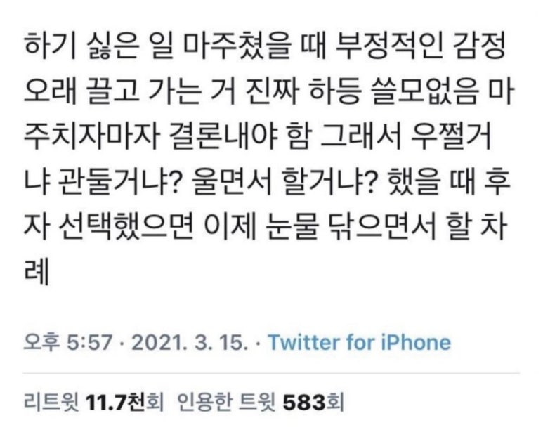 짚쌩3 이미지