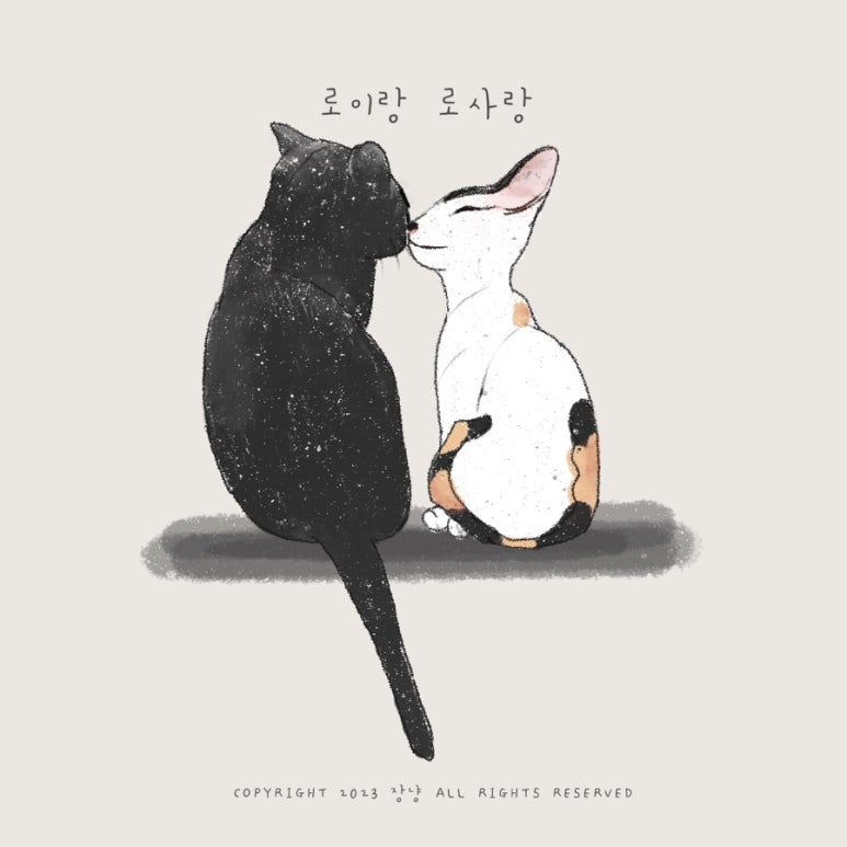 로이통신 이미지
