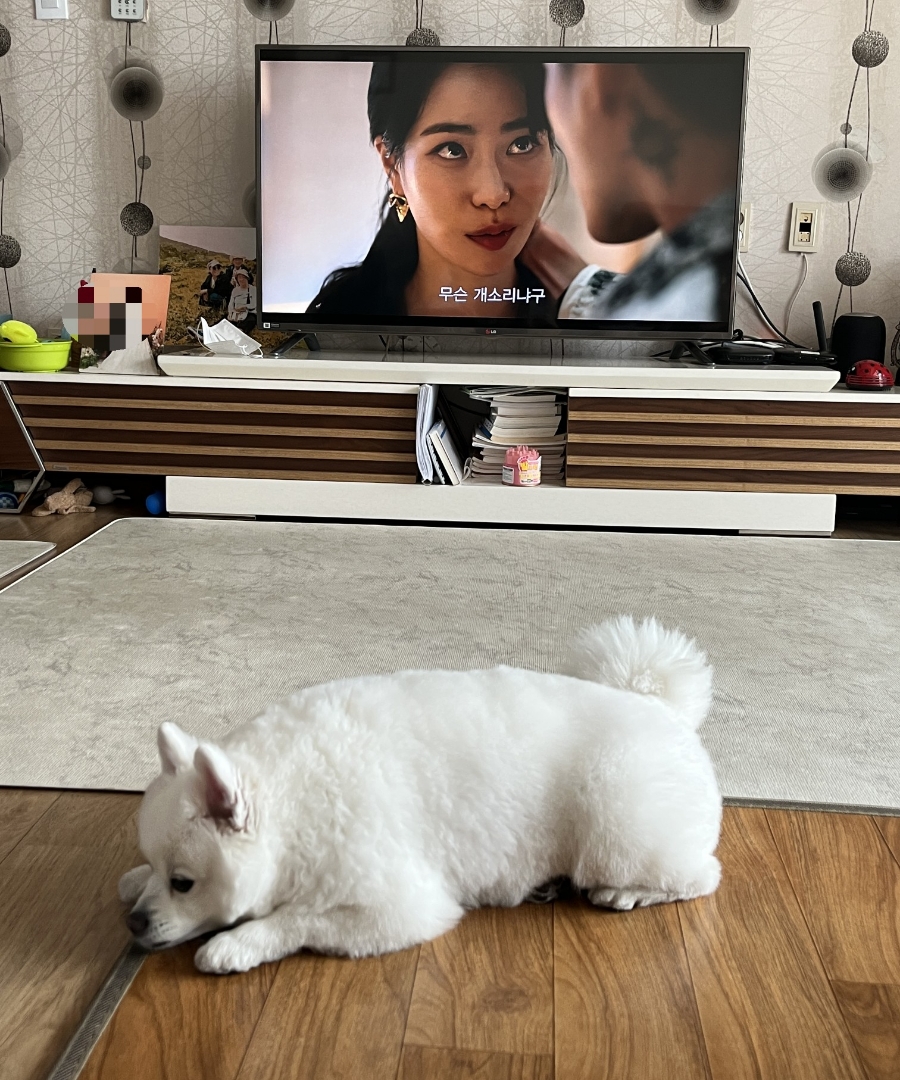 타코다찌 이미지
