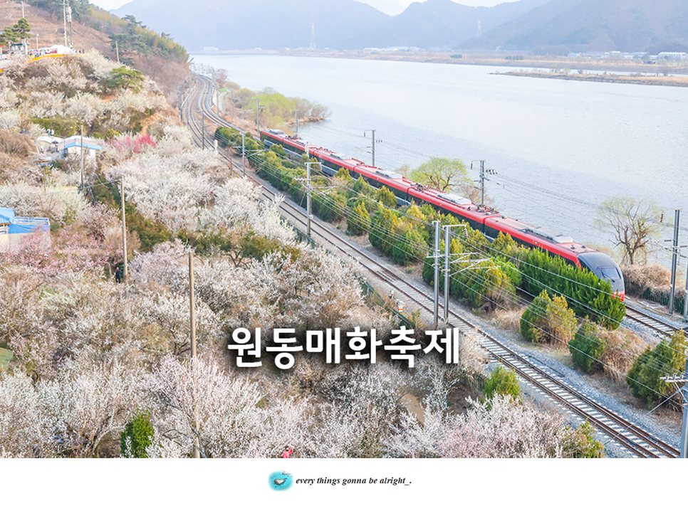원동매화협동조합 이미지