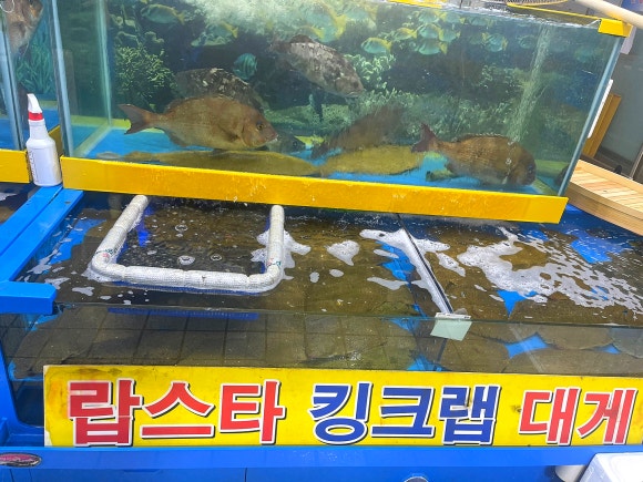 거시기수산 이미지