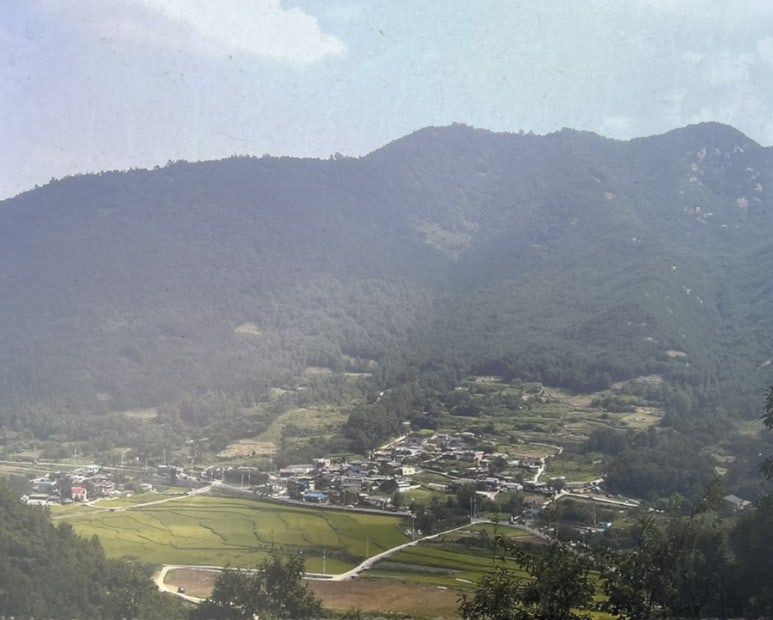 송해개발 이미지
