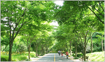 (주)승리 이미지