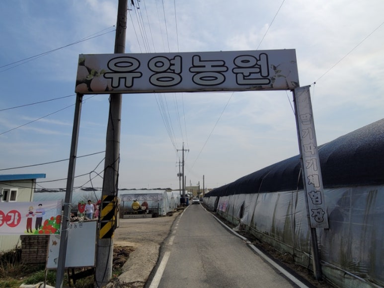 유영하우스 이미지