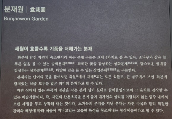 푸른분재원 이미지