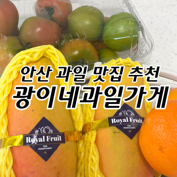 광이네 이미지