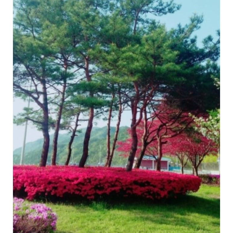 정가네농원 이미지