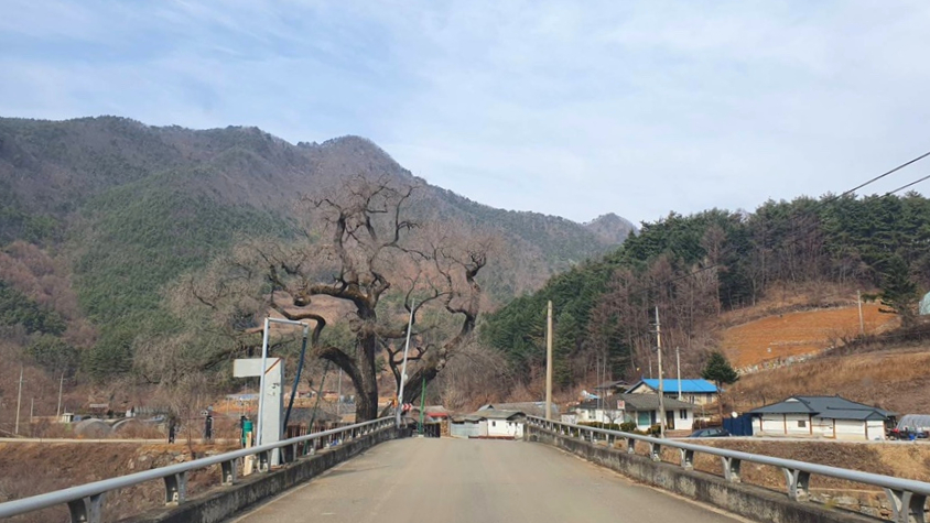토우마루 이미지