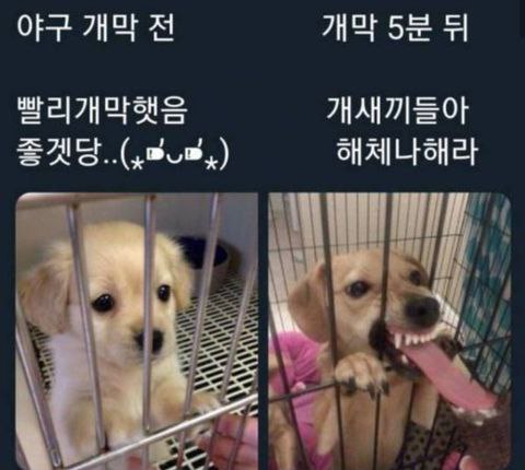 야구와사람들 이미지