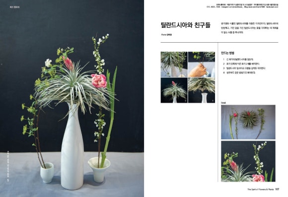 플로라&디자인스쿨 이미지