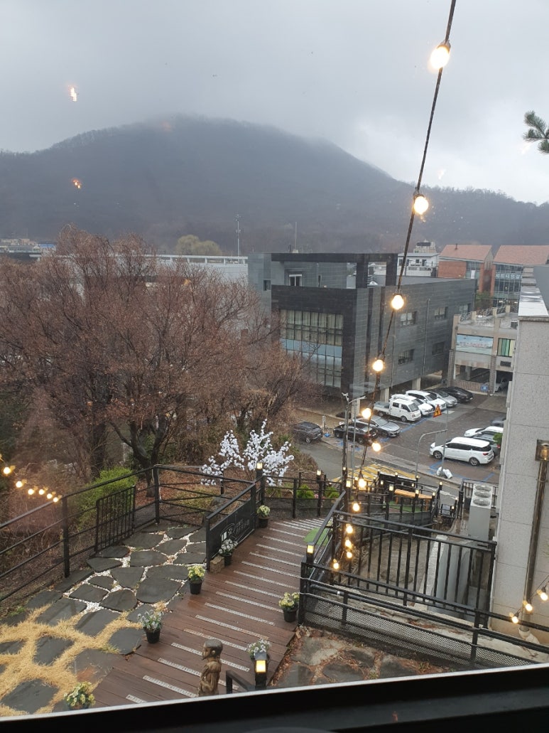 아프리코 이미지