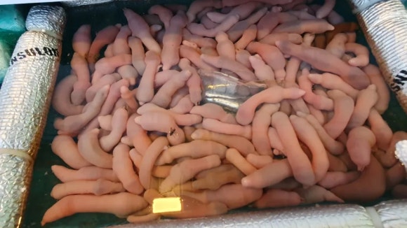 사천대물낚시 이미지