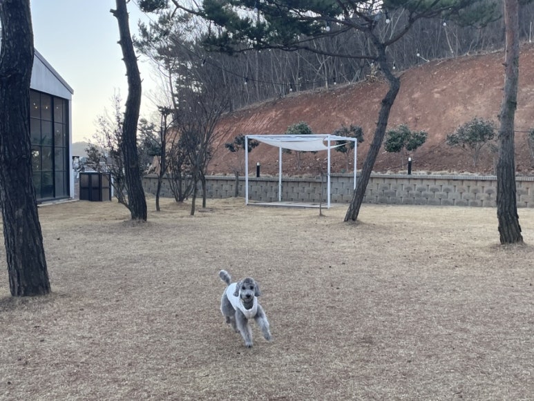 카페오솔길 이미지