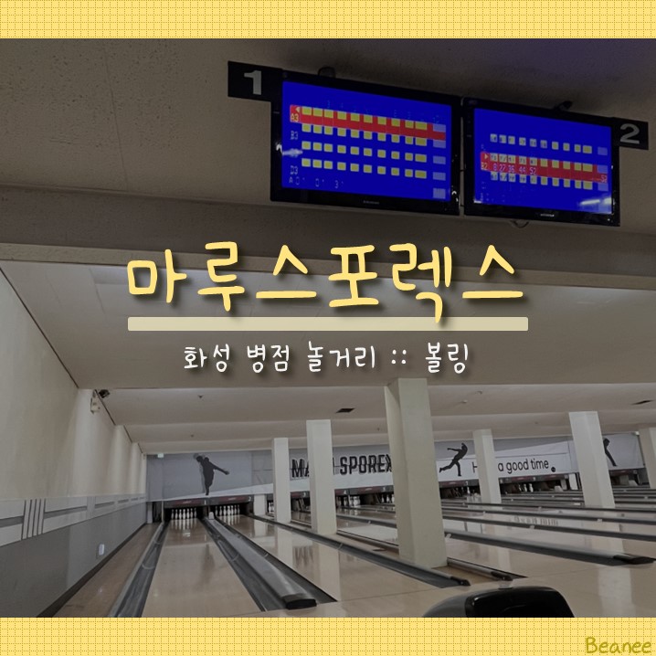 마루스포렉스 이미지