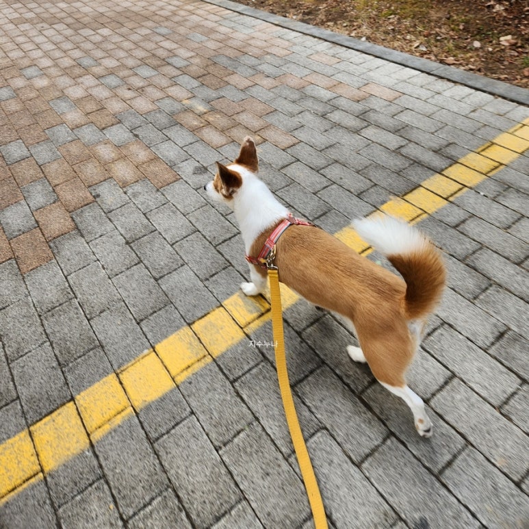 (주)친구네 이미지