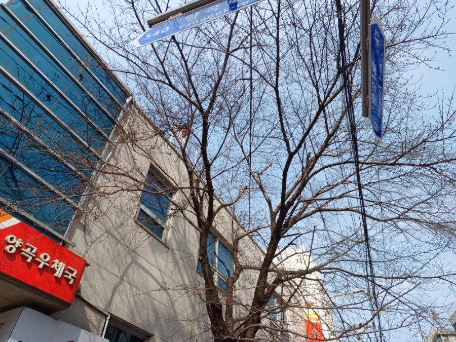꽃핀다;방 이미지