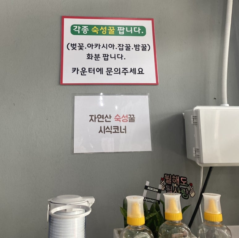 원기밀면냉면원기네순대 이미지