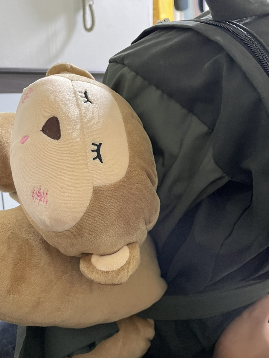리본짐 이미지