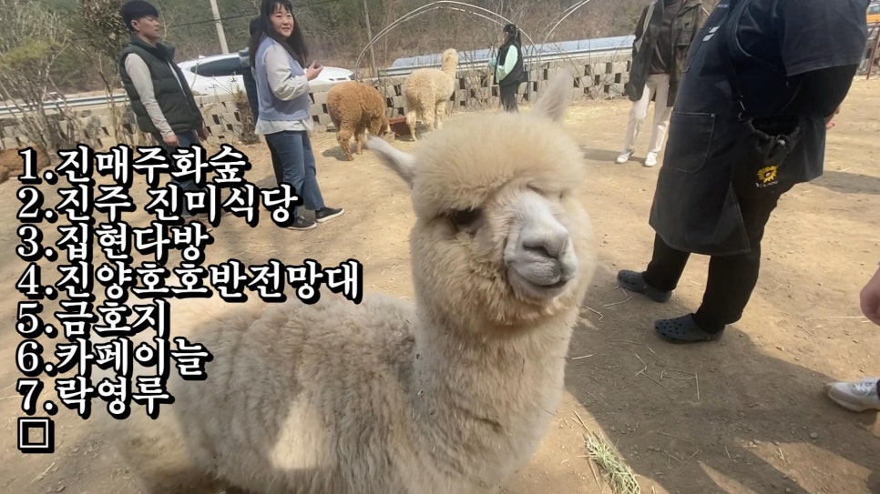 나드리다방 이미지