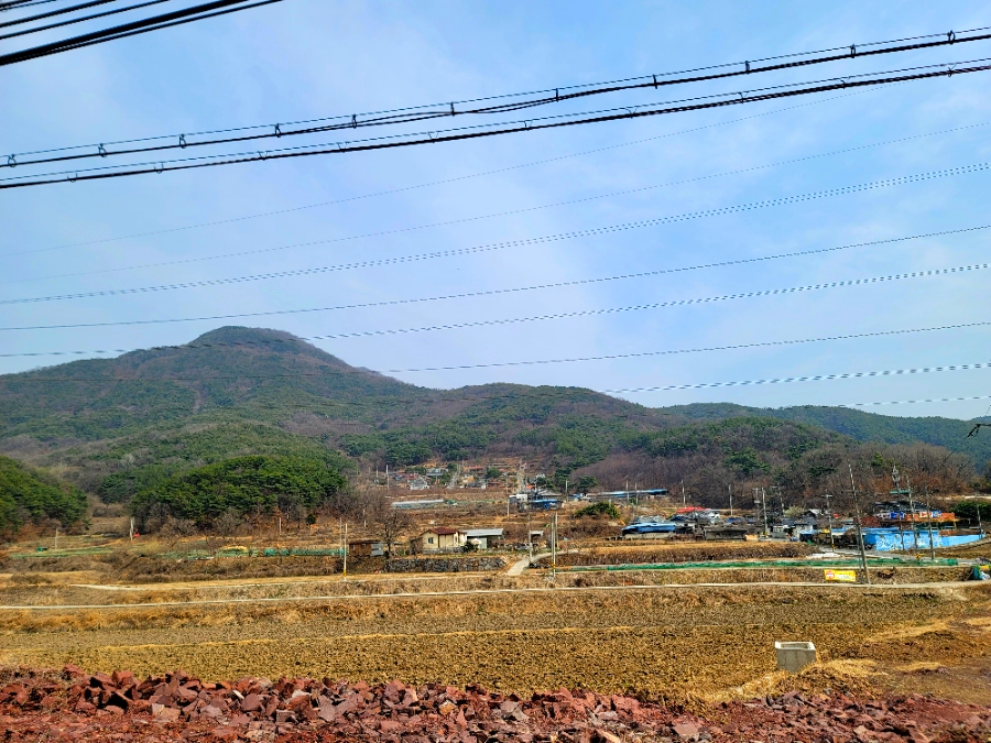 순한우 이미지
