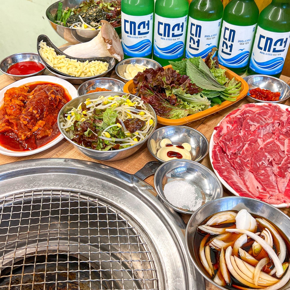 갈매기 학교 이미지