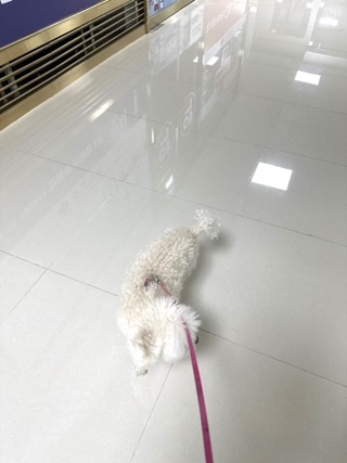 도농 애시앙스포츠센터 이미지