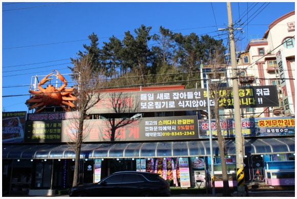 대게집 이미지