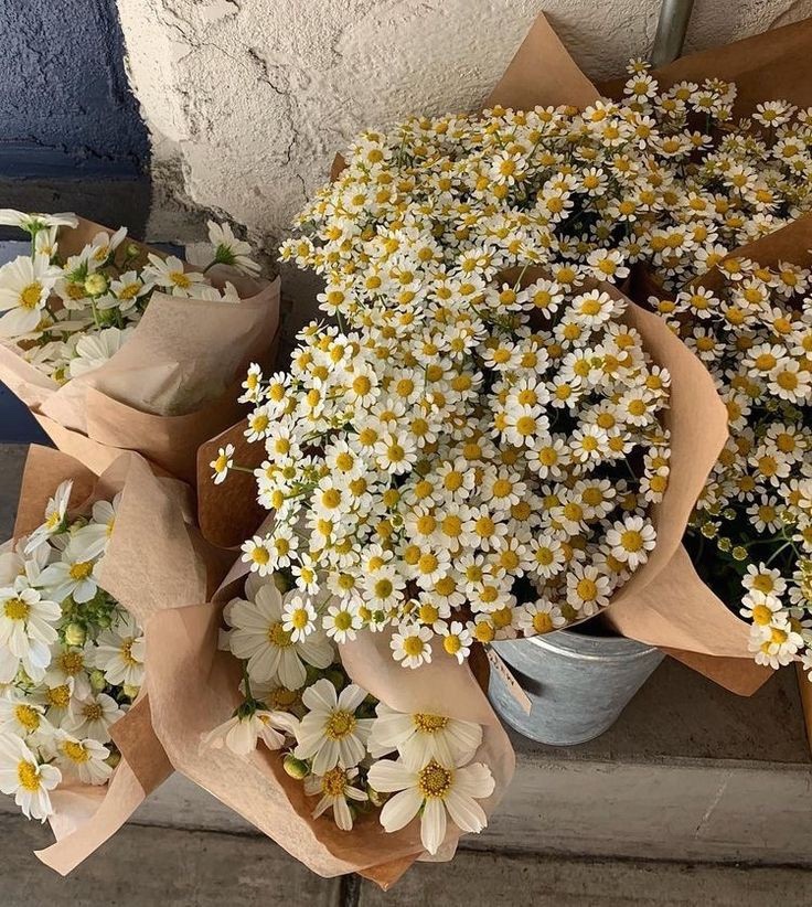 DAISY HAIR(데이지 헤어) 이미지