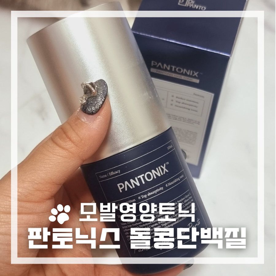 돌콩헤어 이미지
