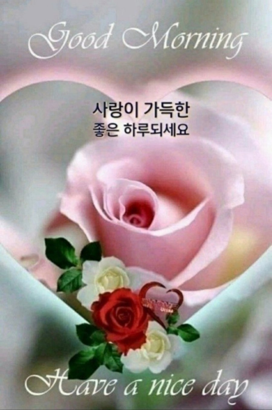 잭슨빌 이미지