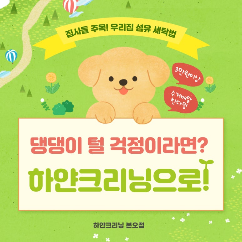 하얀크리닝본오점 이미지